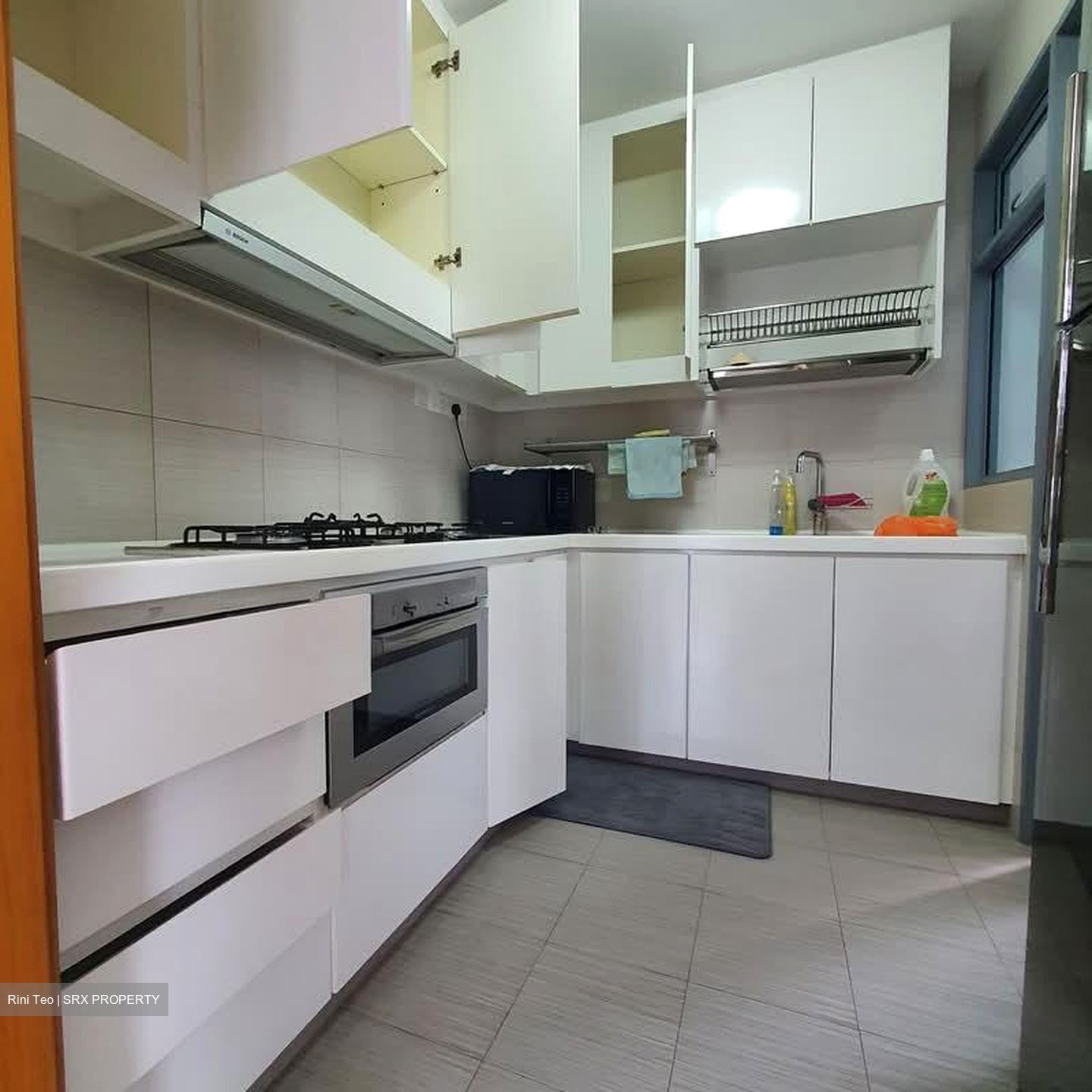 Viz At Holland (D10), Condominium #604963611
